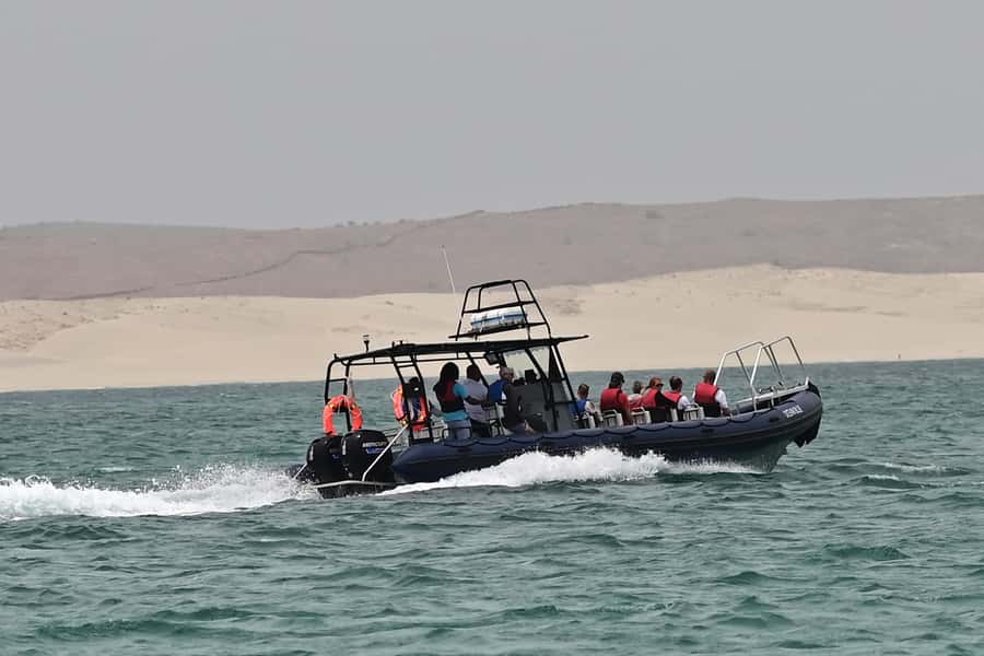 Boavista: Whale Watching half day trip - Weather, cancellations, and flexible plans