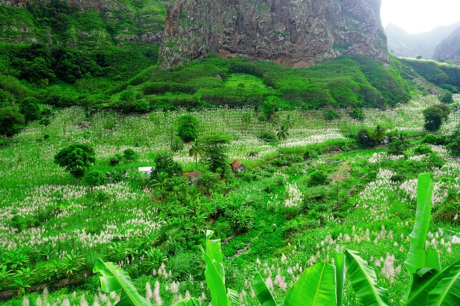 Cape Verde - Santiago, Fogo, São Vicente & Santo Antão Islands 11 Days - Santiago begins with valleys, markets, and old stone