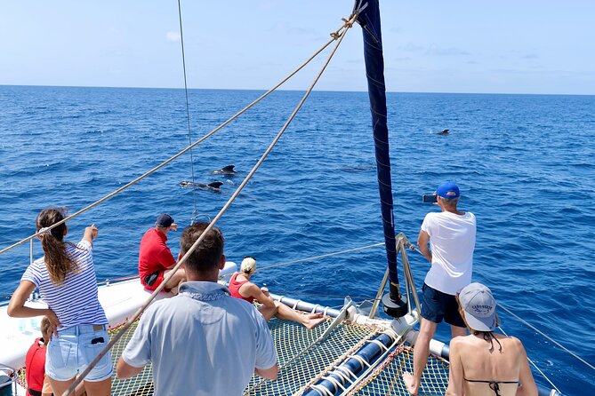 Catamaran Half Day - Beautiful day on the Atlantic Ocean - Leaving Santa Maria for the Atlantic