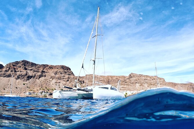 Catamaran Half Day - Beautiful day on the Atlantic Ocean - Dolphins, turtles, whales, and flying fish