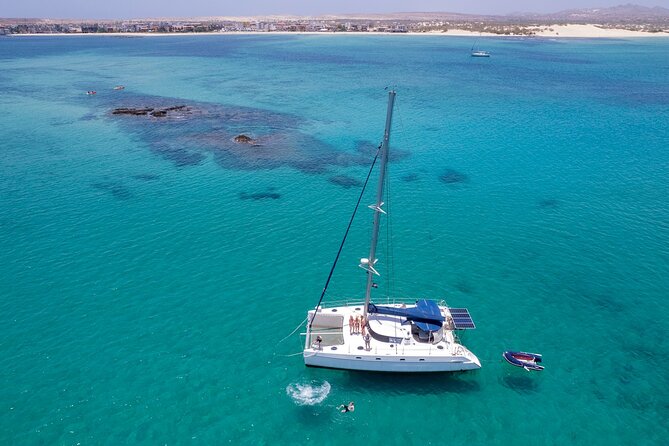 Catamaran Sailing Tour or Whale Watching at Boa Vista - Starting at Praia do Estoril and boarding by dinghy