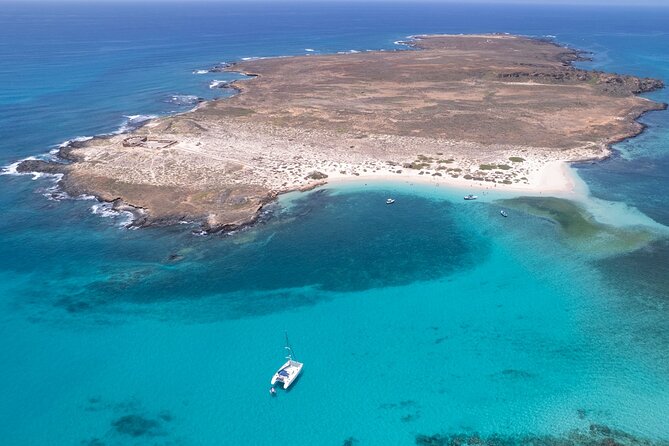 Catamaran Sailing Tour or Whale Watching at Boa Vista - Summer sailing in Sal Rei Bay and a stop at Djeu Island