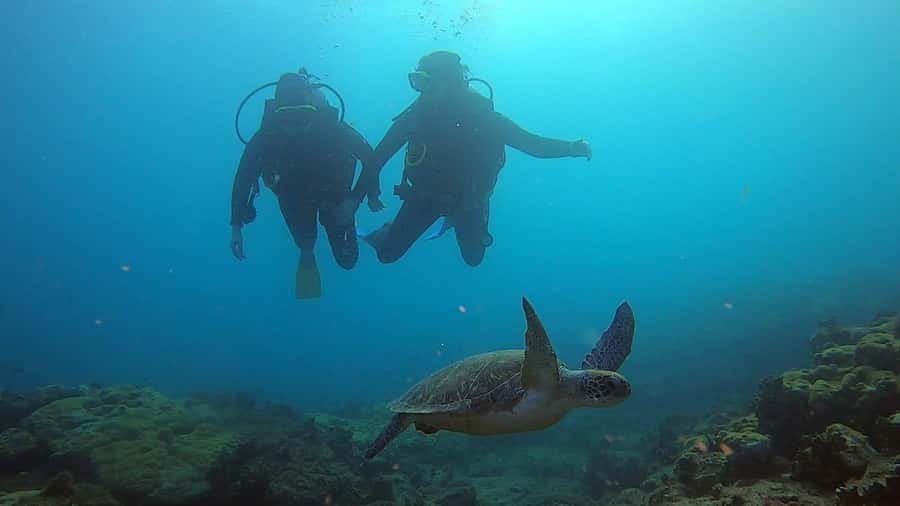 Discover Scuba Diving Program for Beginners - A gentle first step into scuba on Boa Vista