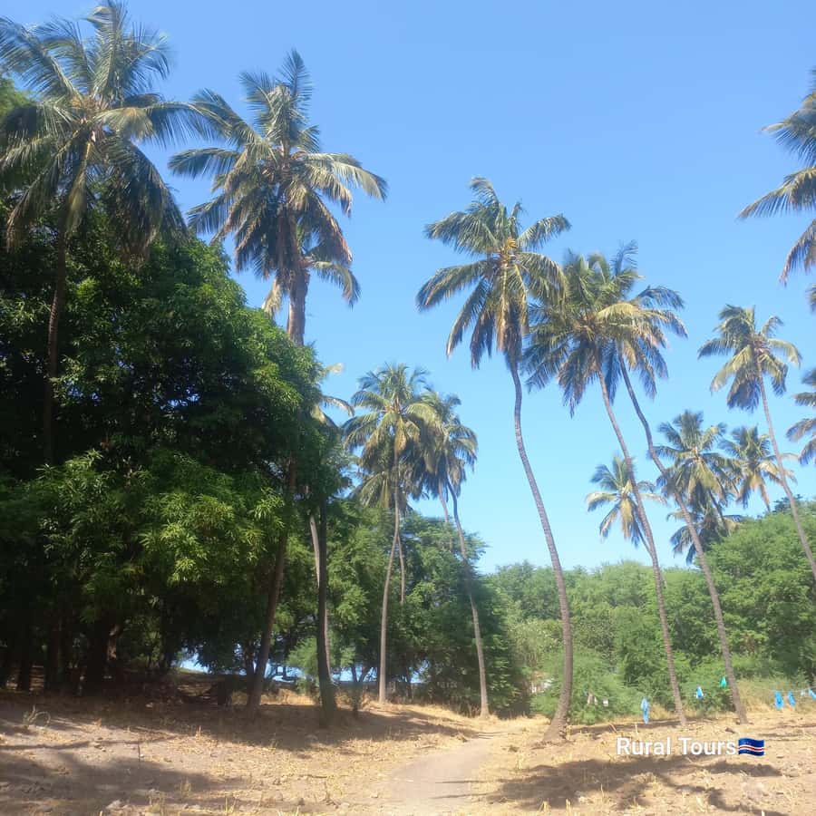 Discover the Black Sand Beach+the Natural Pool - Meeting local life in a quiet fishing village