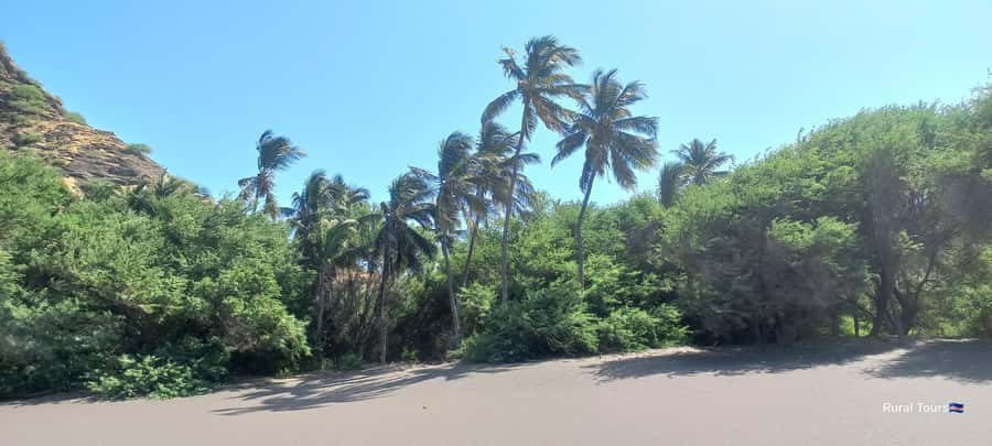 Discover the Black Sand Beach+the Natural Pool - Booking flexibility and language choices