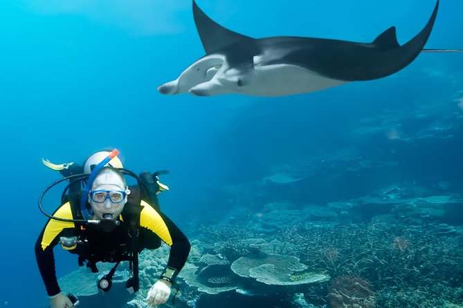 Double Diving in Sal Island - Half Day - Sea Conditions and the Windy-Season Warning