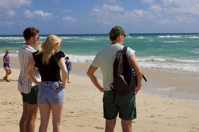 Exclusive Sal Island - Full Day Personalized for You - Terra Boa and the island’s mirage