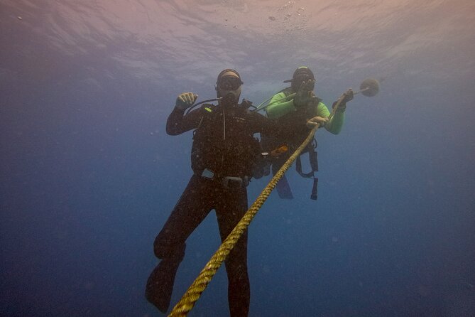 First Diving Experience Try Dive - How the private format changes the experience