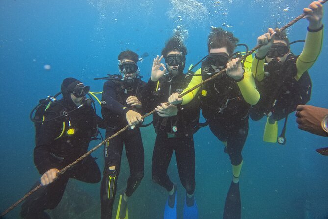 First Diving Experience Try Dive - Is $119.48 a fair price?
