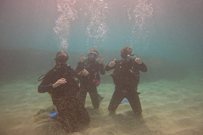 First Diving Experience Try Dive - Physical demands and comfort