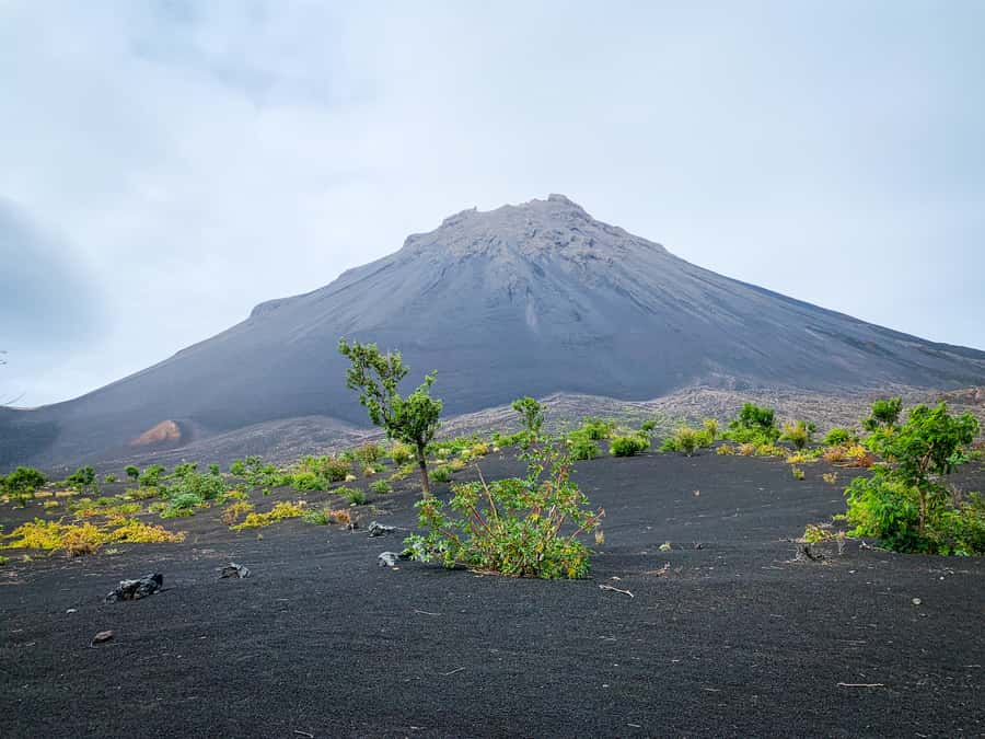 Fogo Island: Pico do Fogo Volcano Summit Hike - A 3 to 4 hour climb from the volcano’s base