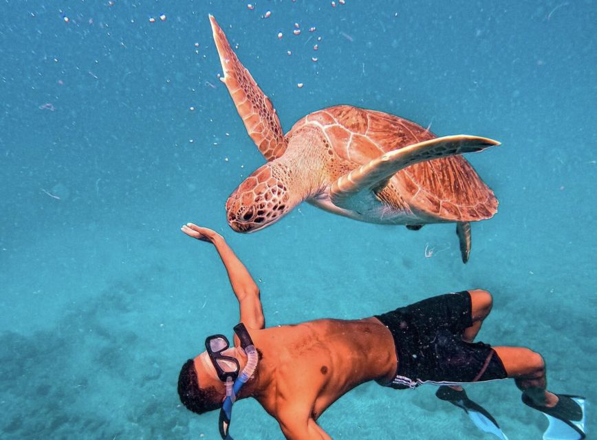 From Mindelo: São Vicente's Enchanting Sea Turtle Snorkeling - Who will get the most from this São Pedro outing