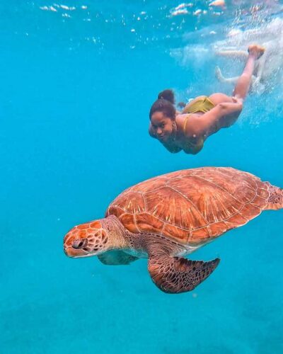 Snorkel and Swim with Sea Turtles