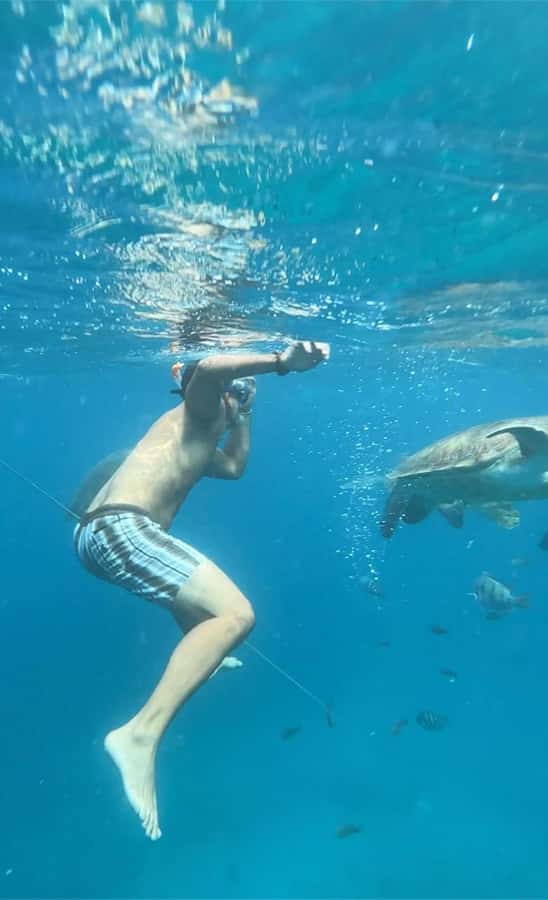 From Mindelo: Snorkel and Swim with Sea Turtles - Who will enjoy this turtle outing most?