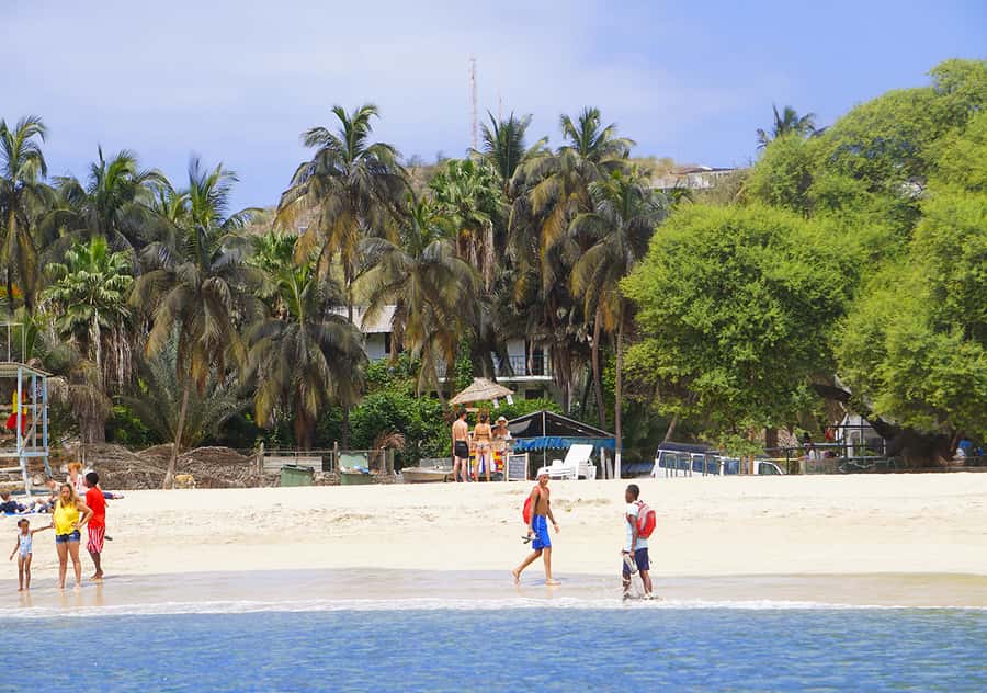 From Praia: Cidade Velha, Tarrafal & East Side Island Tour - The east coast road and the coconut stop