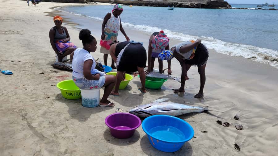 From Praia: Explore the island with local Tour guide - The east coast brings fishing villages and ocean views