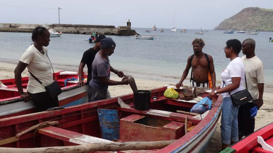 From Praia: Explore the island with local Tour guide - Small groups and guide quality matter here