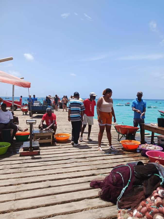 From Sal Island: Blu eye, Salt lake, Lemon Sharks & Palmeira - Pedra de Lume lets you float inside a volcanic crater