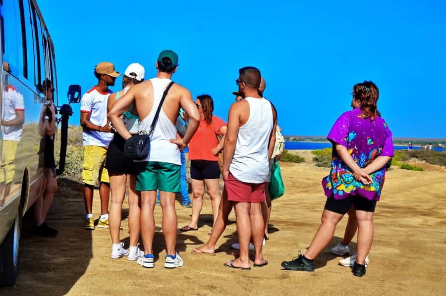 From Sal Island: Blue Eye, Salt Lake, Lemon Sharks, Palmeira - A short look at Palmeira’s fishing life