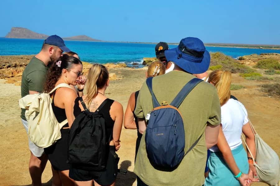 From Sal Island: Blue Eye, Salt Lake, Lemon Sharks, Palmeira - Shark Bay is the day’s best surprise