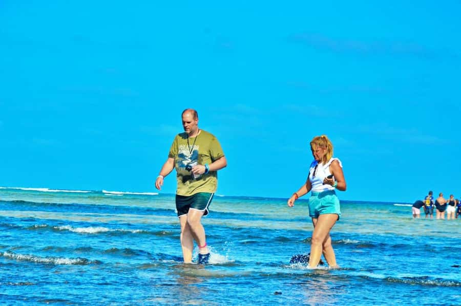 From Sal Island: Blue Eye, Salt Lake, Lemon Sharks, Palmeira - Terra Boa and the strange Miragem