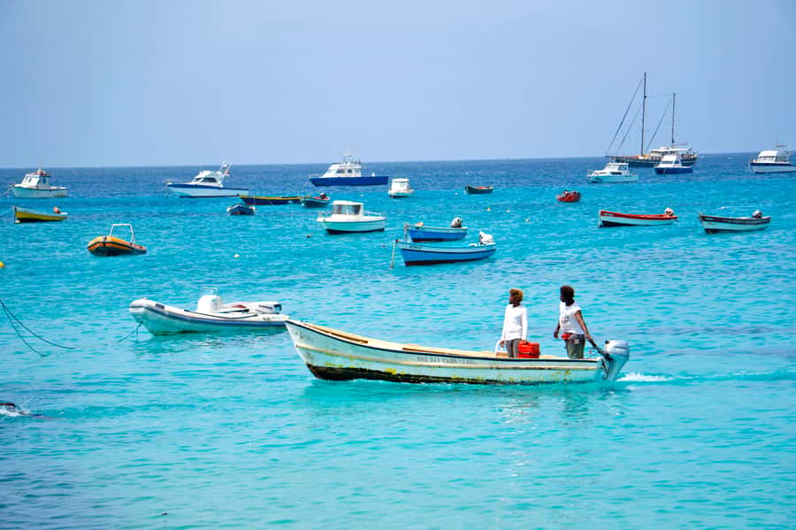 From Santa Maria: Sal Island Private Day Trip - What to bring and how to pace the day