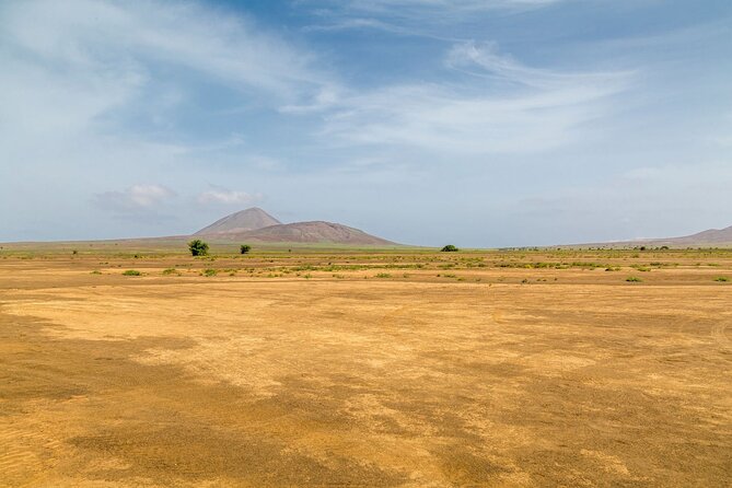 Full Day Adults Only Tour of Sal with Lobster Lunch and Salt Lake - Guide style, vehicles, and pace