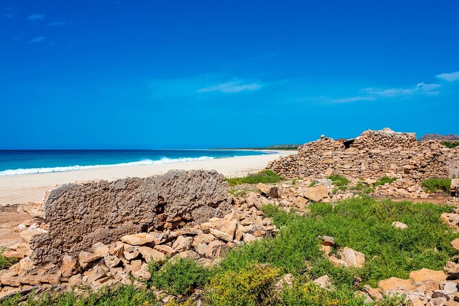 Full Day Boa Vista Island Guided 4X4 Tour with Beachfront Lunch - The Cabo Santa Maria wreck on Santa Maria Beach