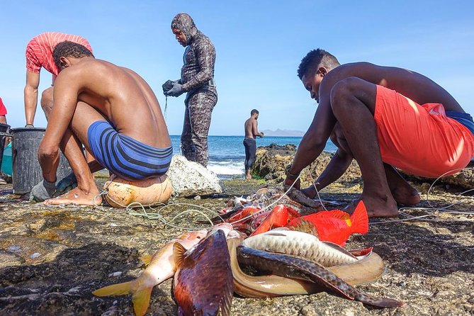Full Day Island Tour, Highlights of São Vicente - Fish and produce markets in central Mindelo