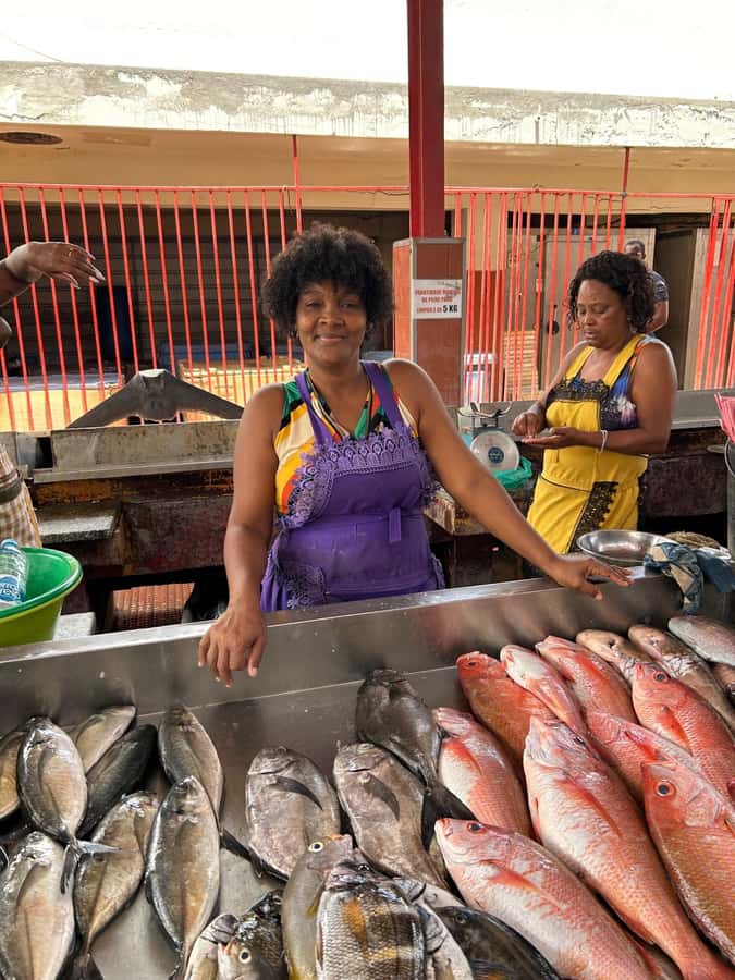 Full Day Island Tour, São Vicente, Mindelo, Highlights - Mindelo begins with forts, markets, and local culture