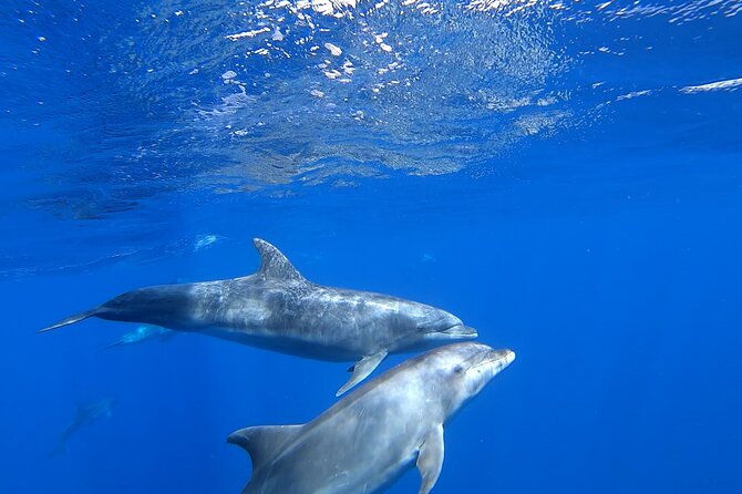Full day Sailing yacht - Beautiful day on the Atlantic Ocean - A proper lunch, snacks, and an open bar