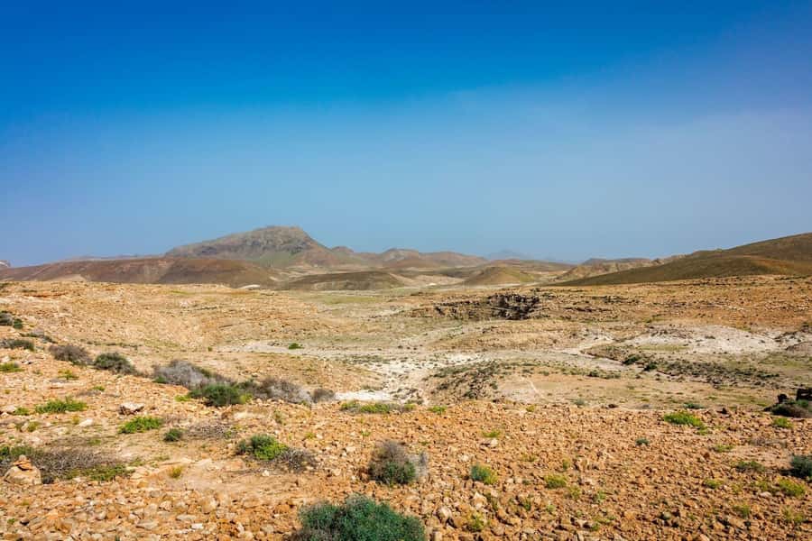 Half Day 4x4 Tour with Viana Desert and Villages - Timing, pickup, and who will enjoy it