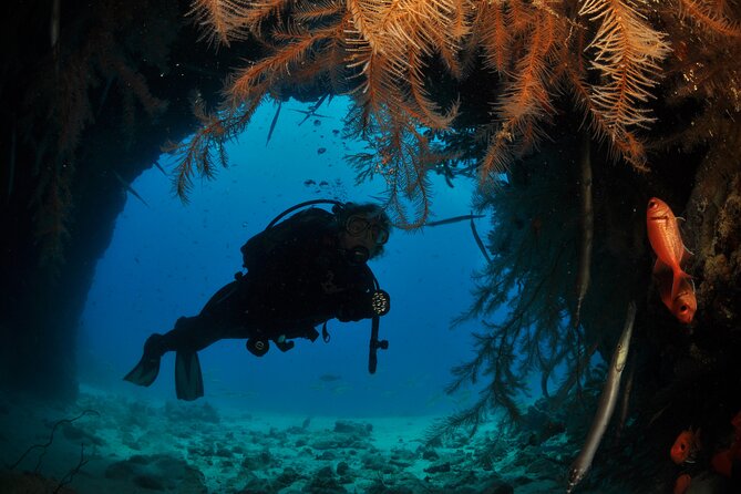 Half-Day Diving in Sal - What your morning in Santa Maria looks like