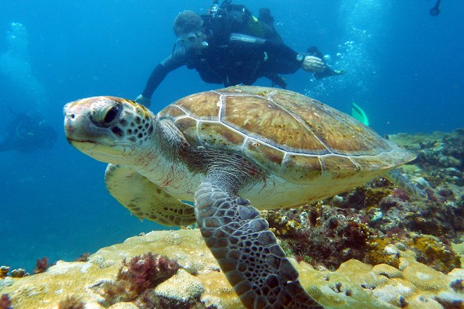Half-Day Diving in Sal - The first session, from 18 to 35 meters