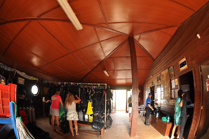 Half-Day Diving in Sal - Why the small group matters