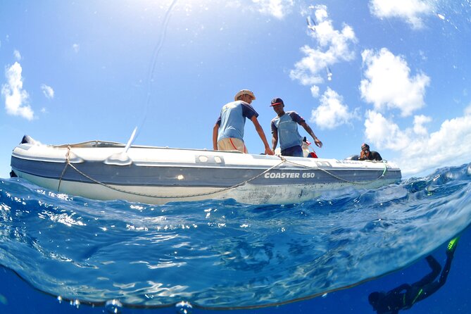 Half-Day Diving in Sal - Equipment, the €20 extra, and the real value