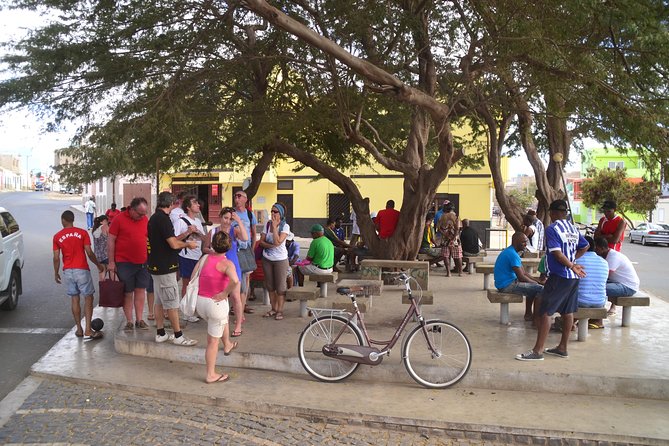 Half-Day Sal Island Tour with Shark Experience from Santa Maria - Murdeira Bay and Monte Leão