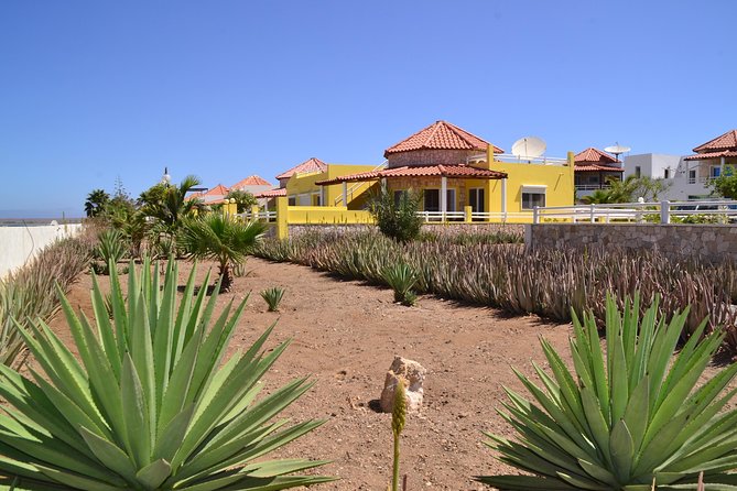 Half-Day Sal Island Tour with Shark Experience from Santa Maria - Palmeira’s fishing harbor and colored houses