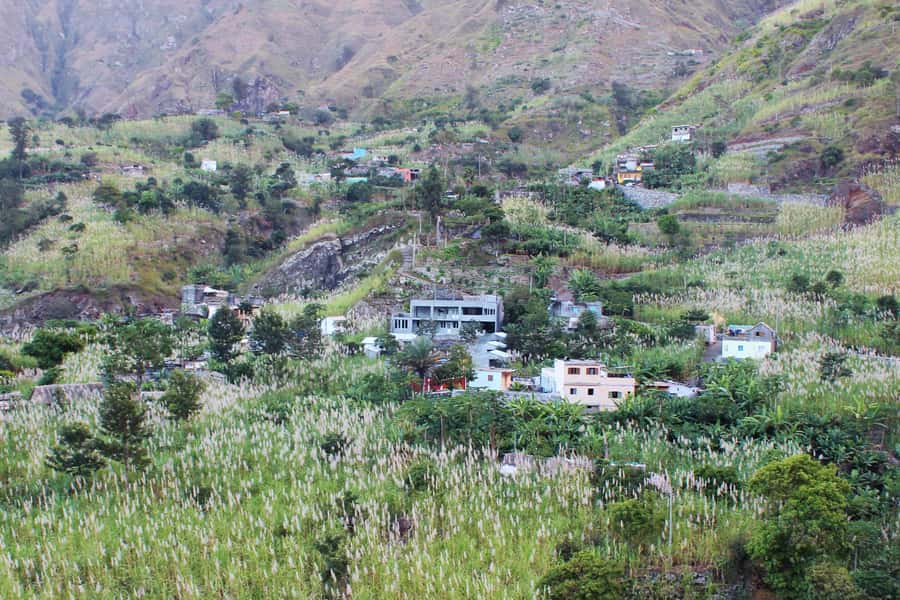 Hike from the Cova Volcano Crater to Ribeira Paúl - A traditional distillery and a taste of grogue