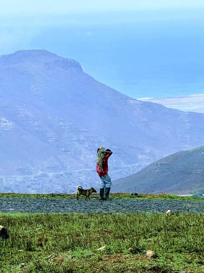 Hike Monte Verde - Key points at a glance