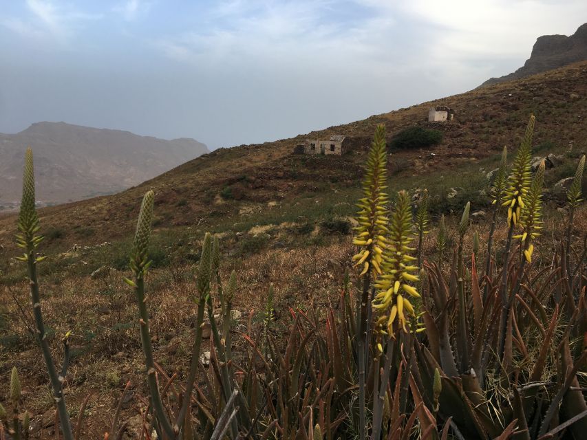 Hike Monte Verde - The view reaches far beyond Mindelo