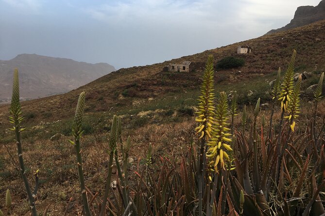 Hike Monte Verde, Natural Park, São Vicente, 3h +/- (roundtrip) - The view toward Mindelo, Calhau, and five islands