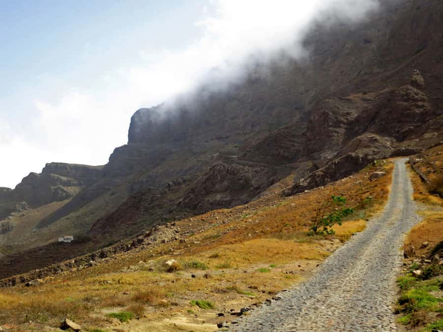 Hike to the highest point of Monte verde - Key points to know before booking