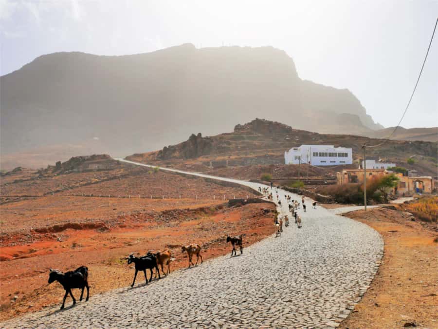 Hike to the highest point of Monte verde - From your hotel or port to Monte Verde