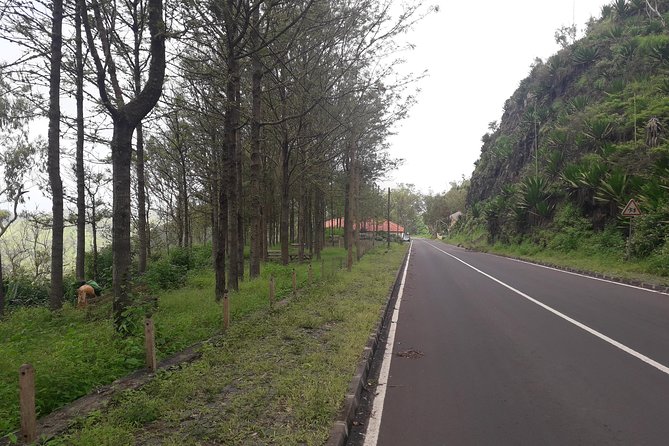 Hikking Natural Park/Serra Malagueta - The first hour on foot