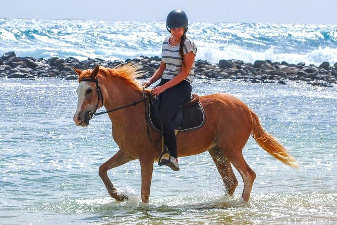 Horse Riding in Sal Island - Cabo Verde - Key points to know before booking