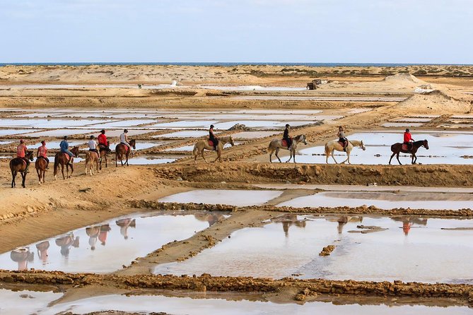 Horse Riding in Sal Island - Cabo Verde - Why the salt flats make the short ride worthwhile