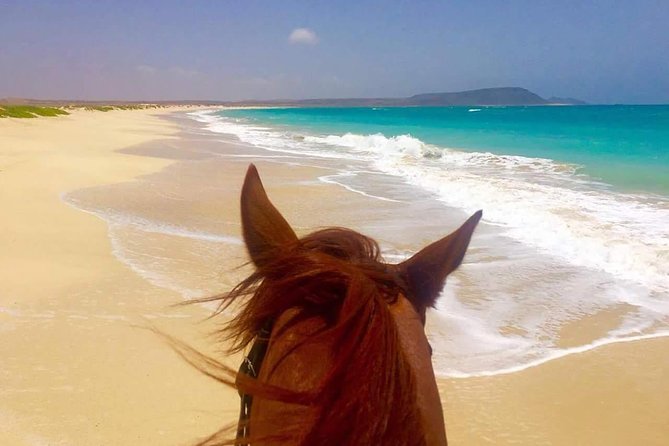 Horse Riding in Sal Island - Cabo Verde - How suitable is it for a first-time rider?