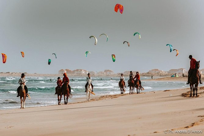 Horse Riding in Sal Island - Cabo Verde - Who should book the one-hour or two-hour ride?