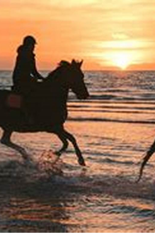 Horseback riding in Boavista for beginners - At a glance